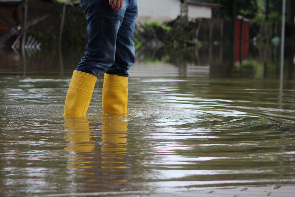 Wellies in the water