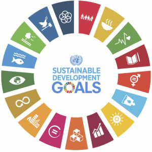 An Interpretation of the SDG’s for use at an Infrastructure Project Level